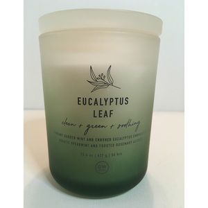 DW Home Eucalyptus Leaf Large Double Wick Candle 15.4 OZ. (New)